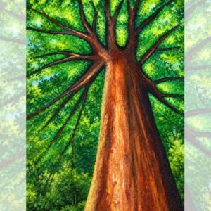 Shades of Green Tree Canopy